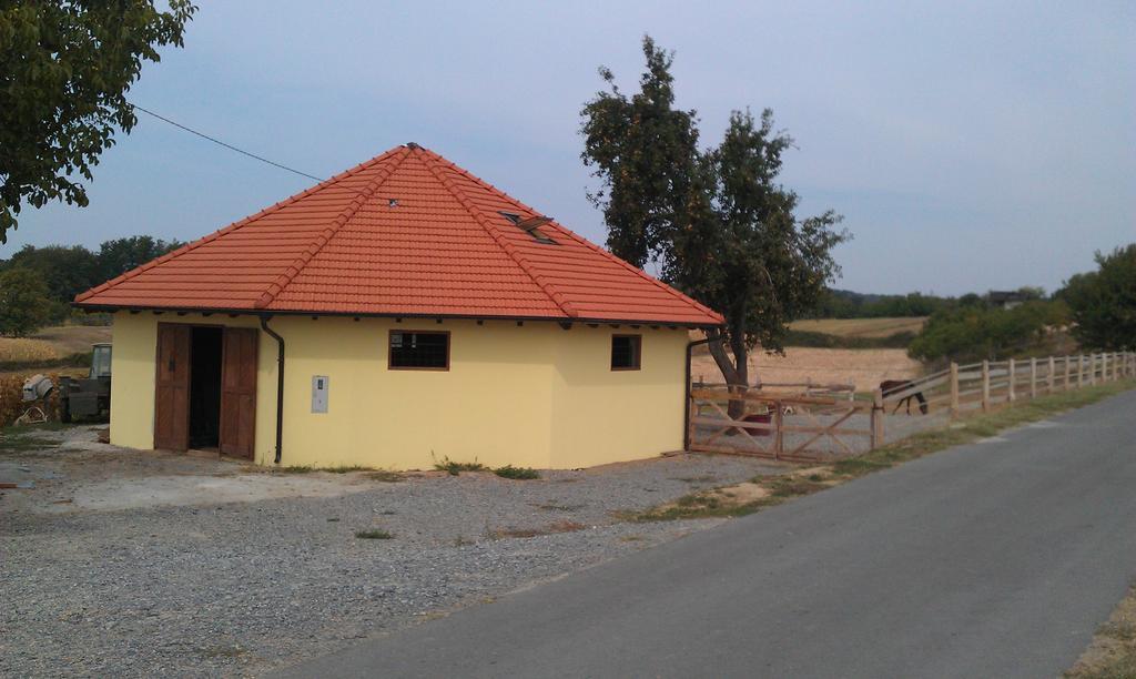 Rooms & Apartment Vinia Bjelovar Luaran gambar